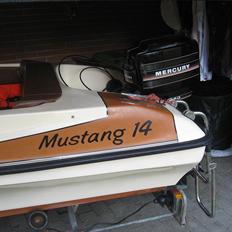 Mustang 14