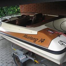 Mustang 14
