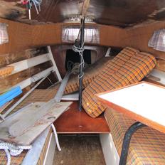 Carina 20