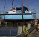Albin 25