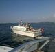 Coronet 32