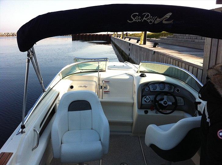 Sea Ray 240 Sun Sport billede 15