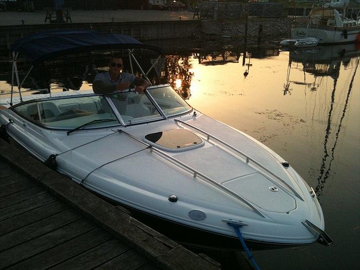 Sea Ray 240 Sun Sport billede 16