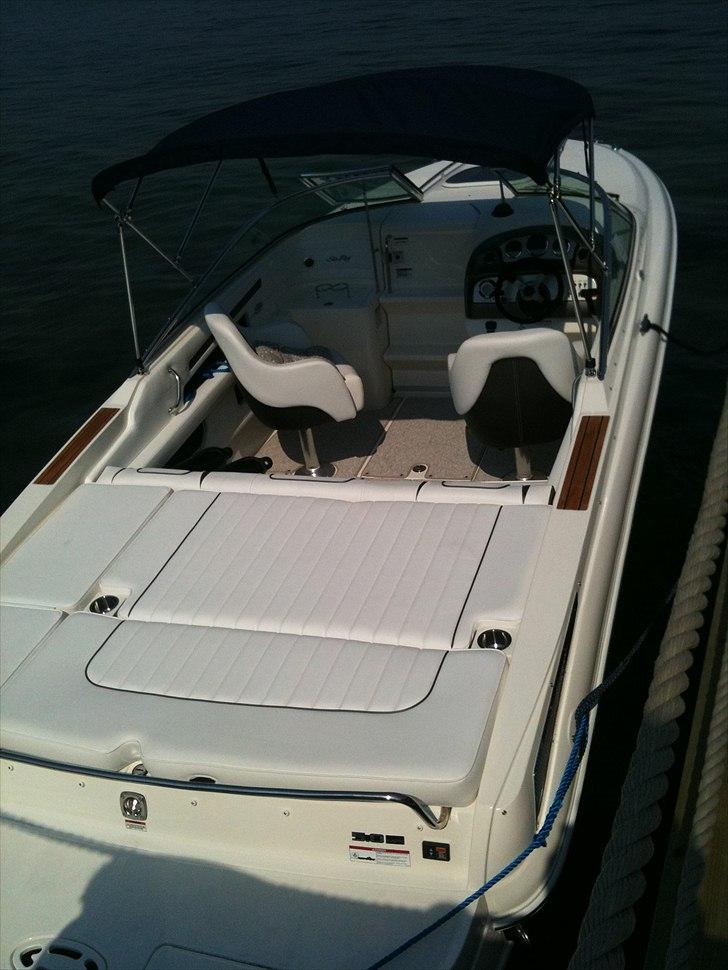 Sea Ray 240 Sun Sport billede 17