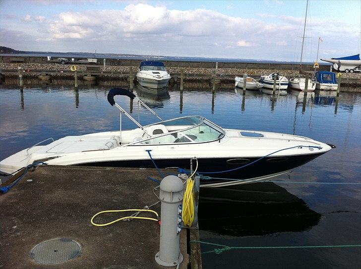 Sea Ray 240 Sun Sport billede 19