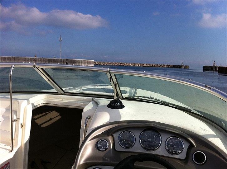 Sea Ray 240 Sun Sport billede 20
