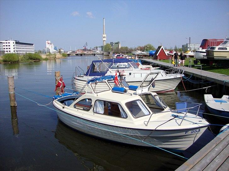 Fjord Nordik billede 6