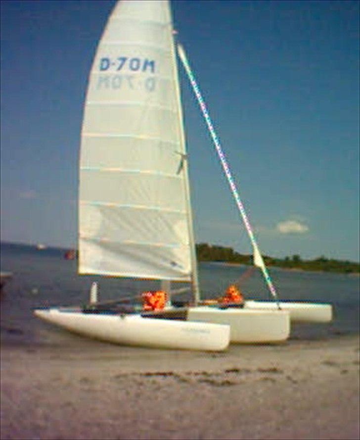 Flerskrogsbåd Trimaran billede 1