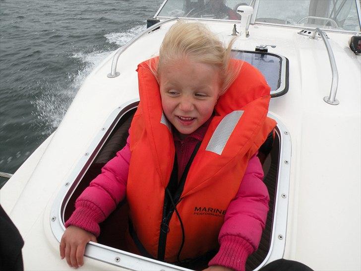 Shetland Saker - Sif, barnebarn, elsker at være i lugen, med fuld fart. billede 16
