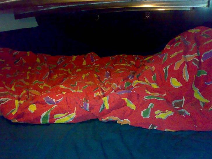 Elvstrøm 32s billede 12