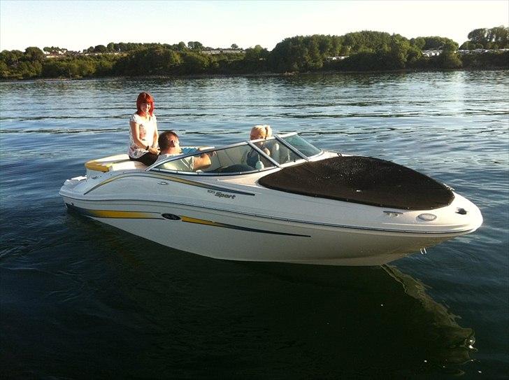 Sea Ray 185 sport billede 1