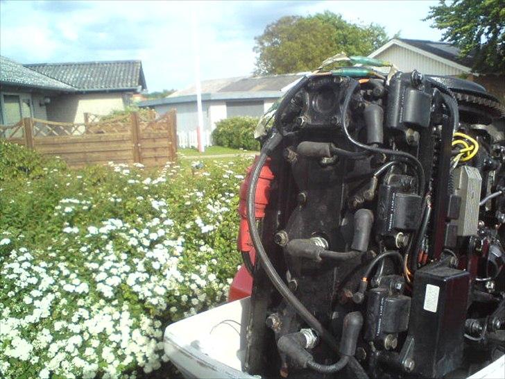 Maxi pilot pacer billede 6