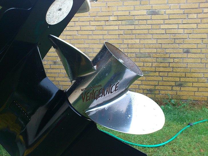 Sea Ray 185 sport billede 10