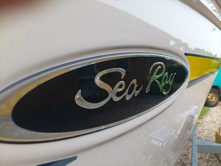 Sea Ray 185 sport billede 11
