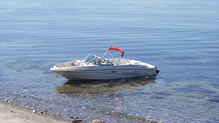 Sea Ray 180 sport billede 1