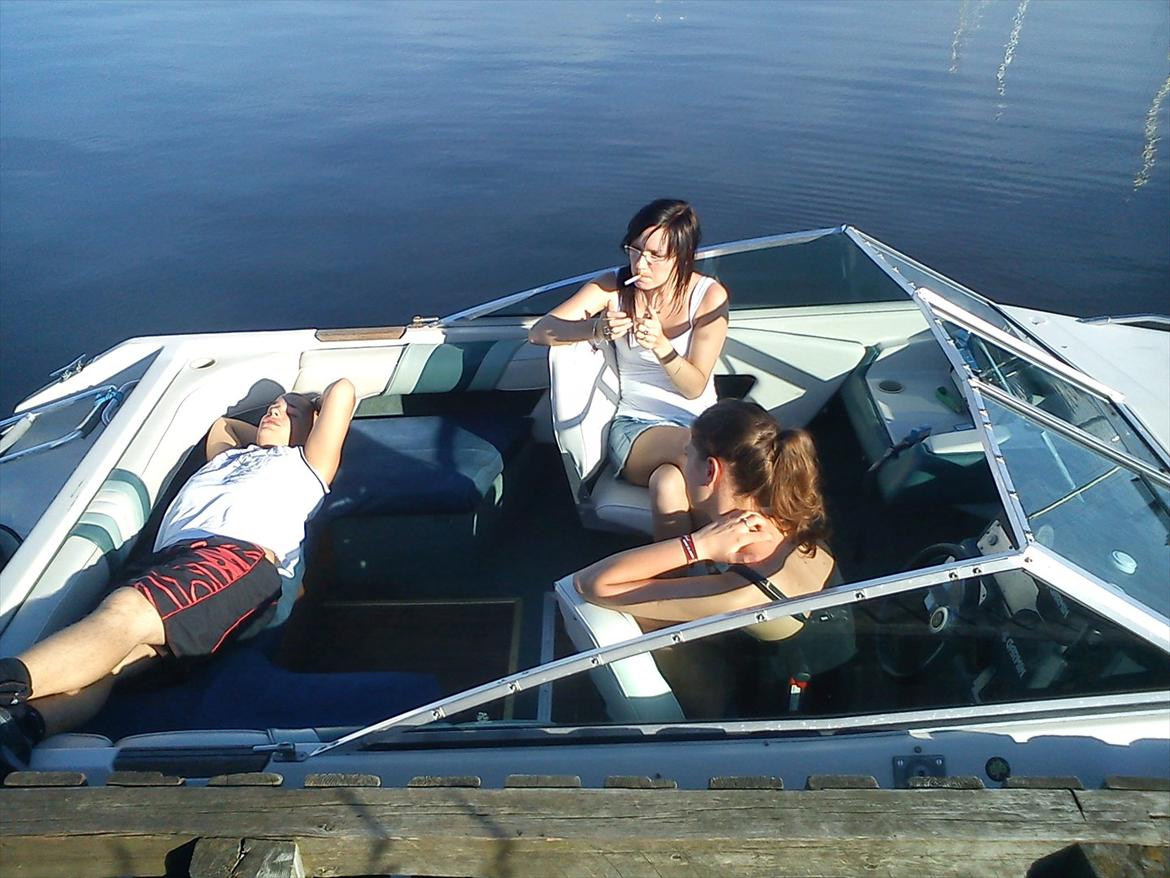 Sea Ray seville billede 8