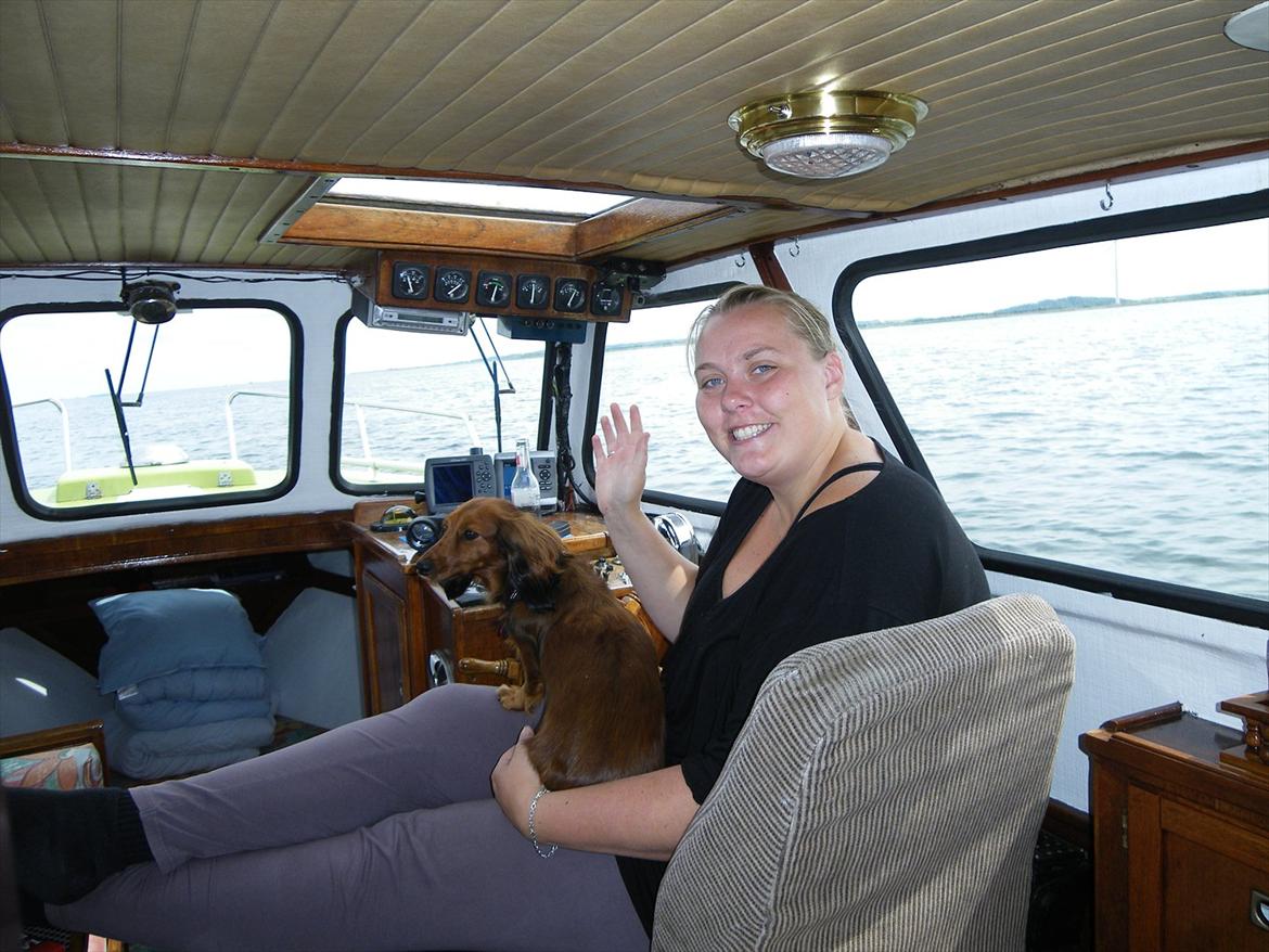 Glasfiberbåd albatross 26 `brumbassen` billede 16