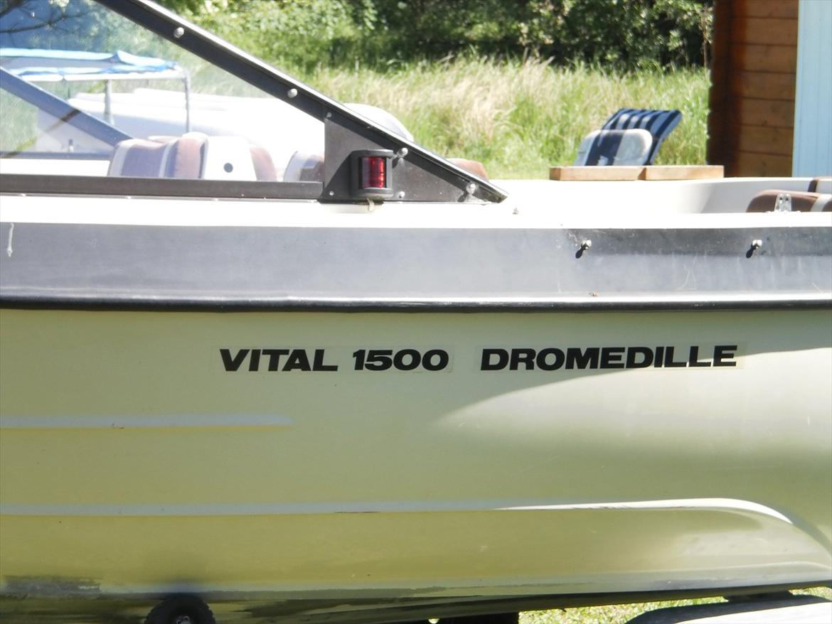 With Vital 1500 Dromedille...SOLGT billede 13