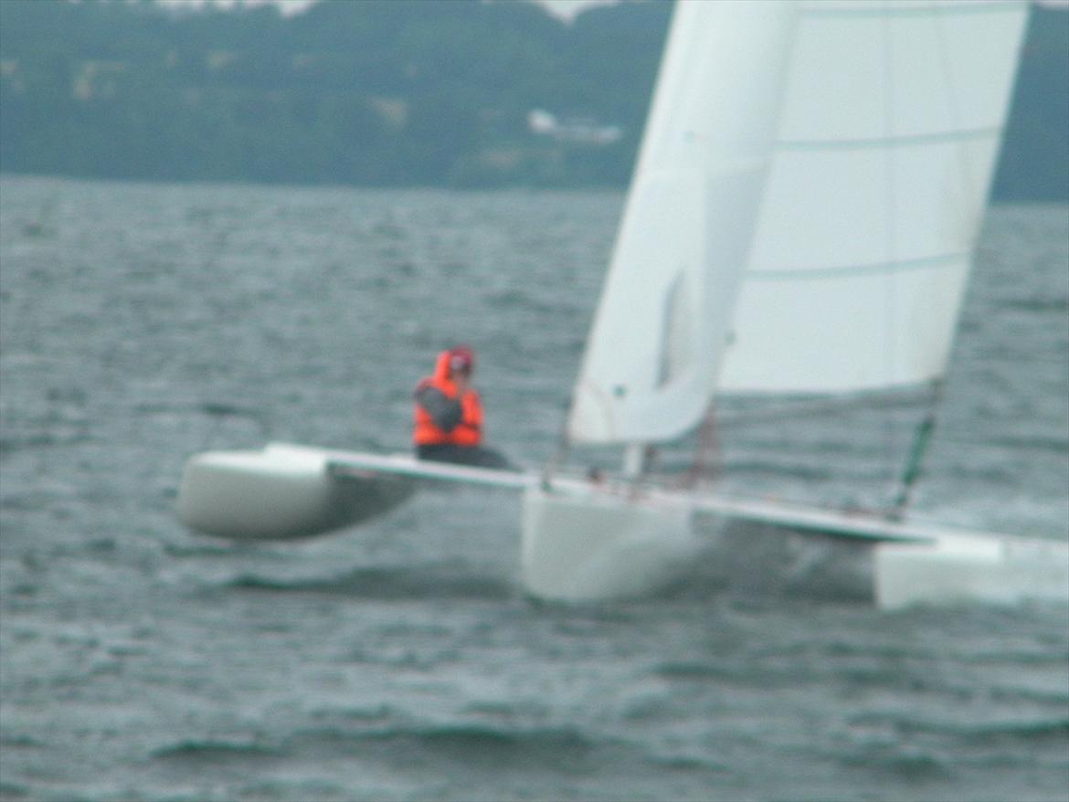 Flerskrogsbåd Trimaran billede 9