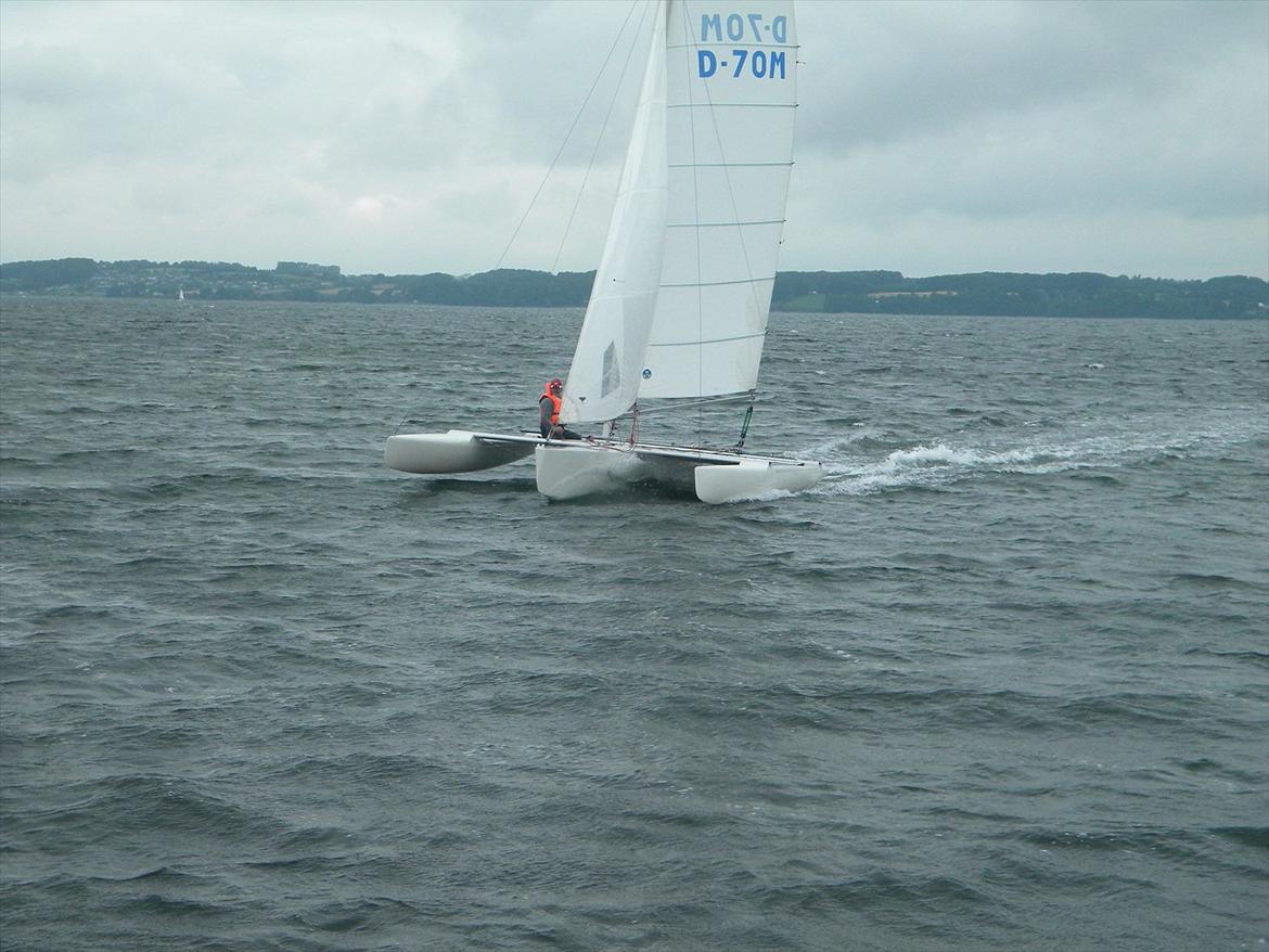 Flerskrogsbåd Trimaran billede 10