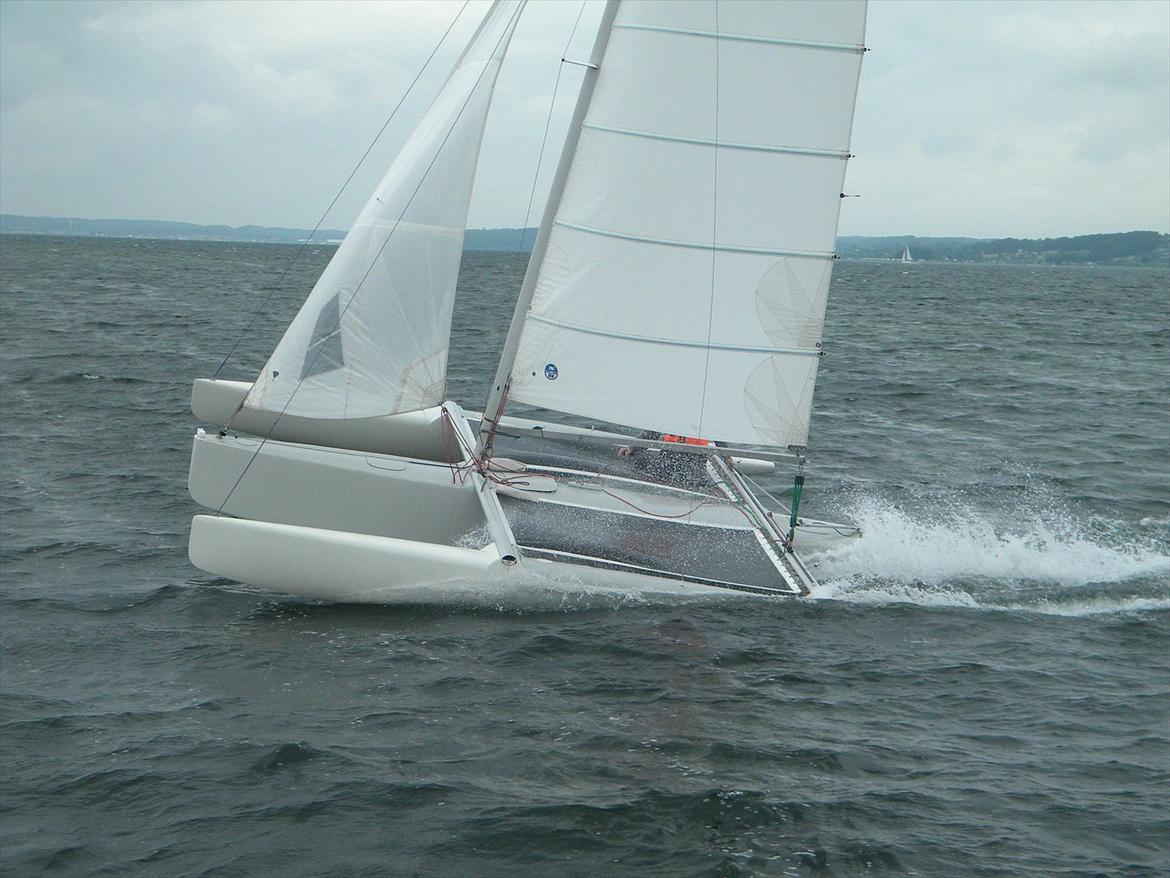 Flerskrogsbåd Trimaran billede 11