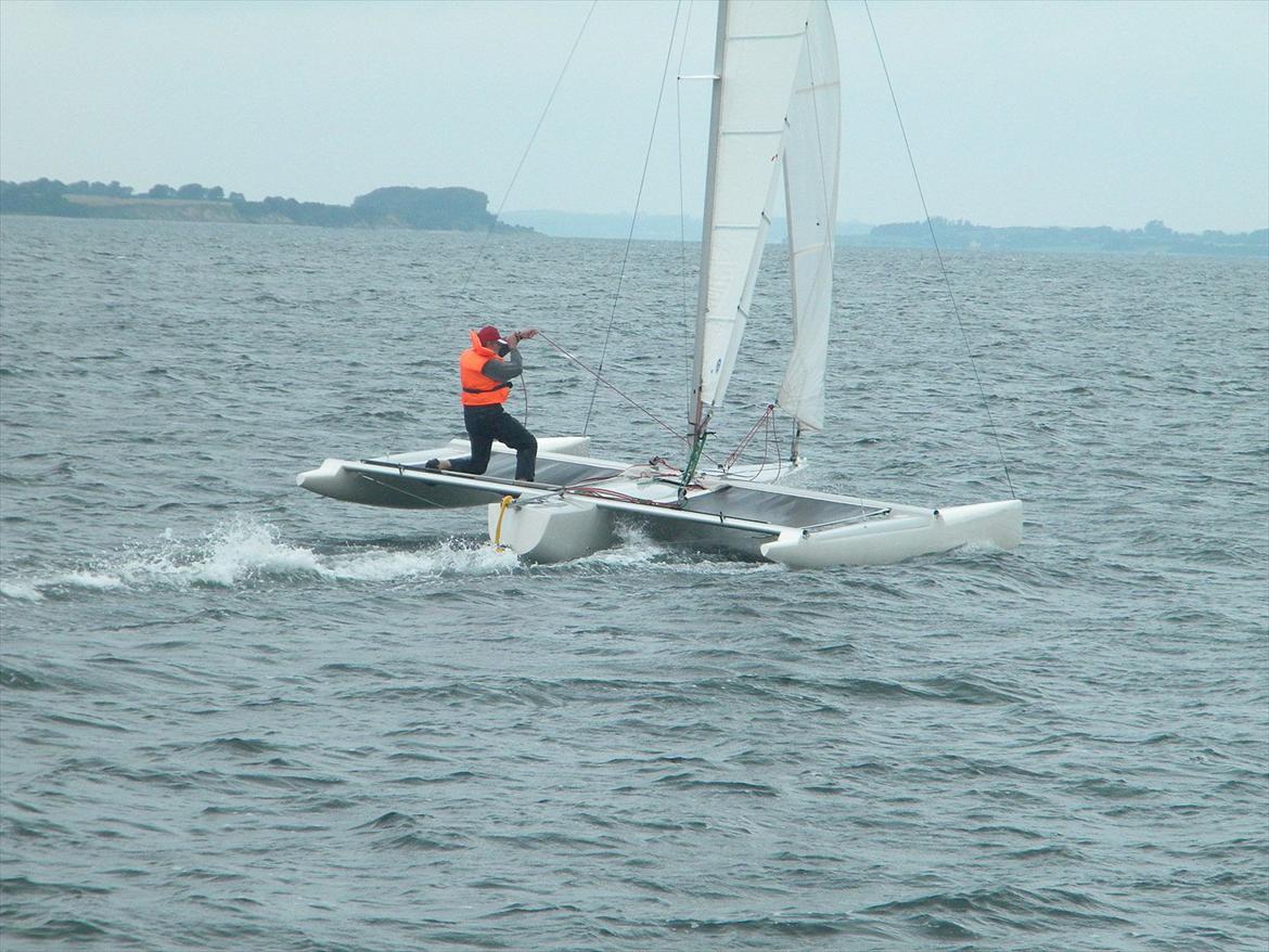 Flerskrogsbåd Trimaran billede 12