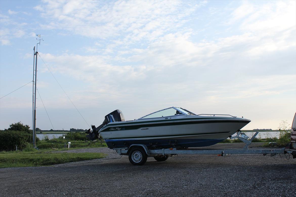 Sea Ray seville billede 4