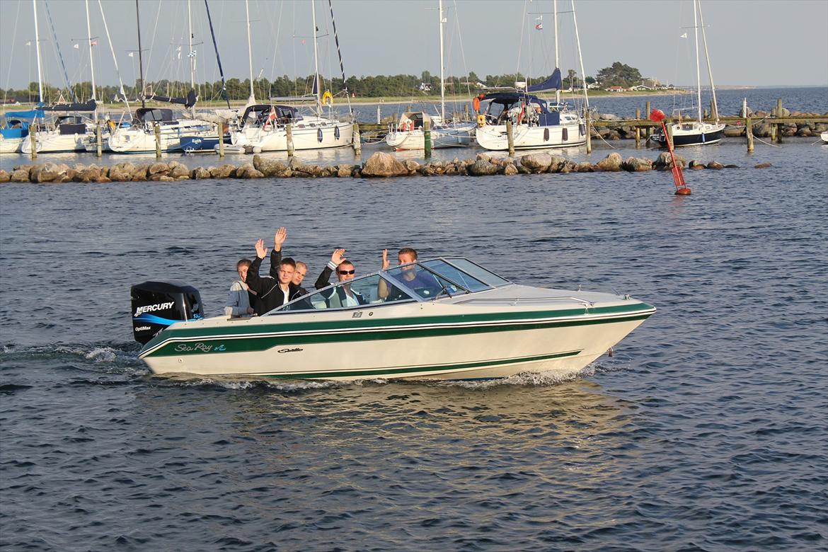 Sea Ray seville billede 5