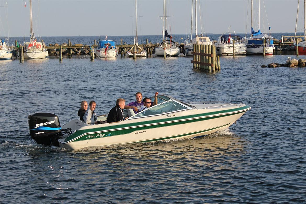 Sea Ray seville billede 6