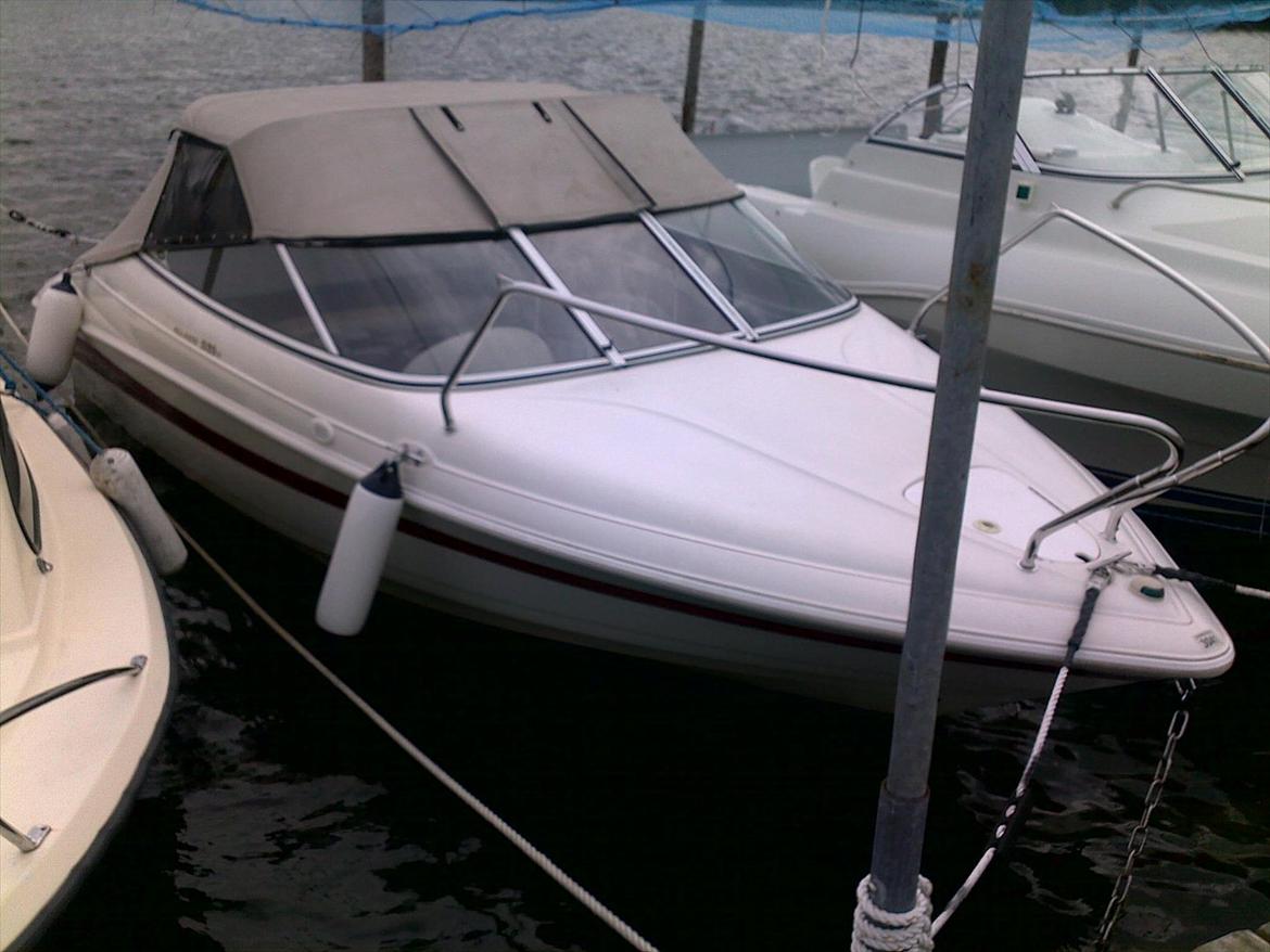 Campion 535 Allanta billede 5