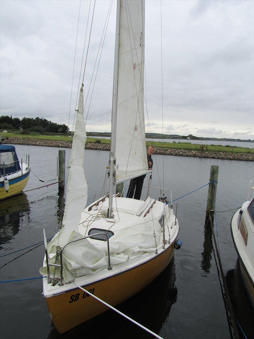 carina 20 sailboat