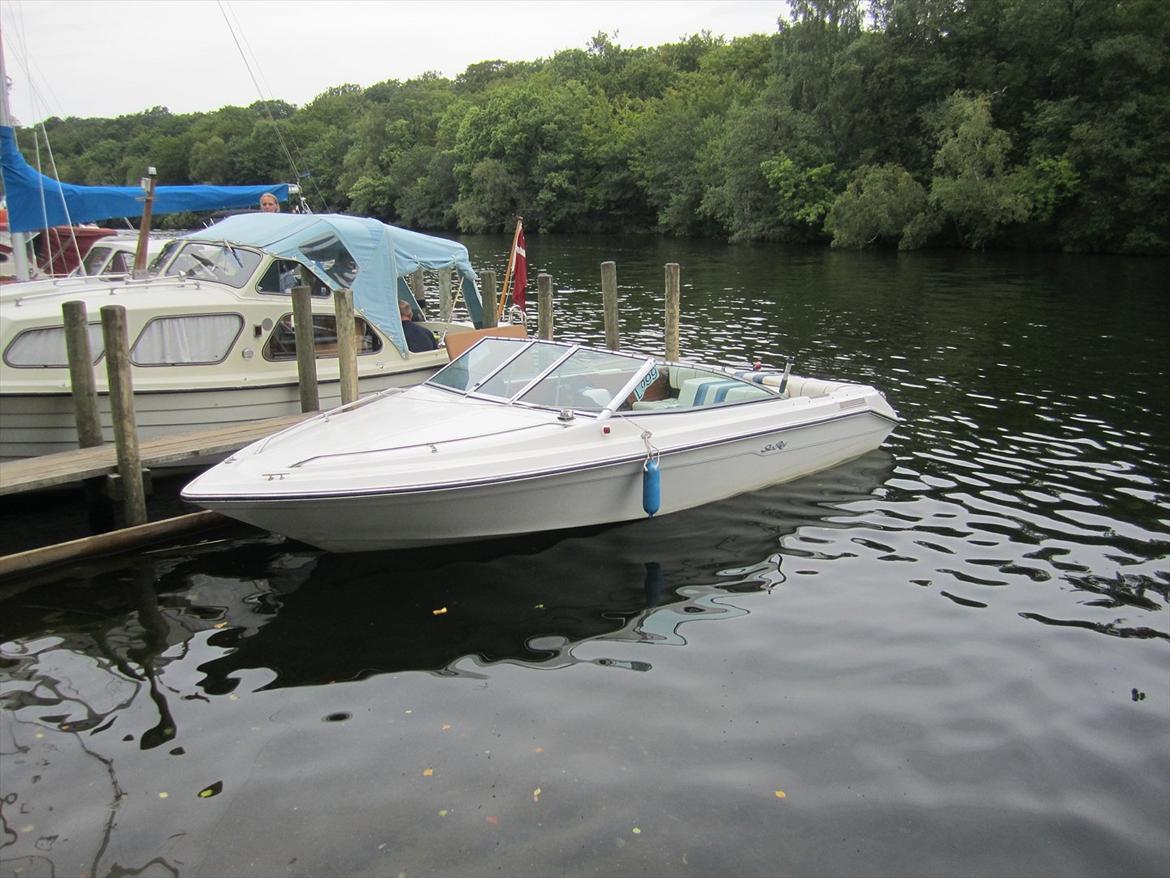 Sea Ray 185 billede 4