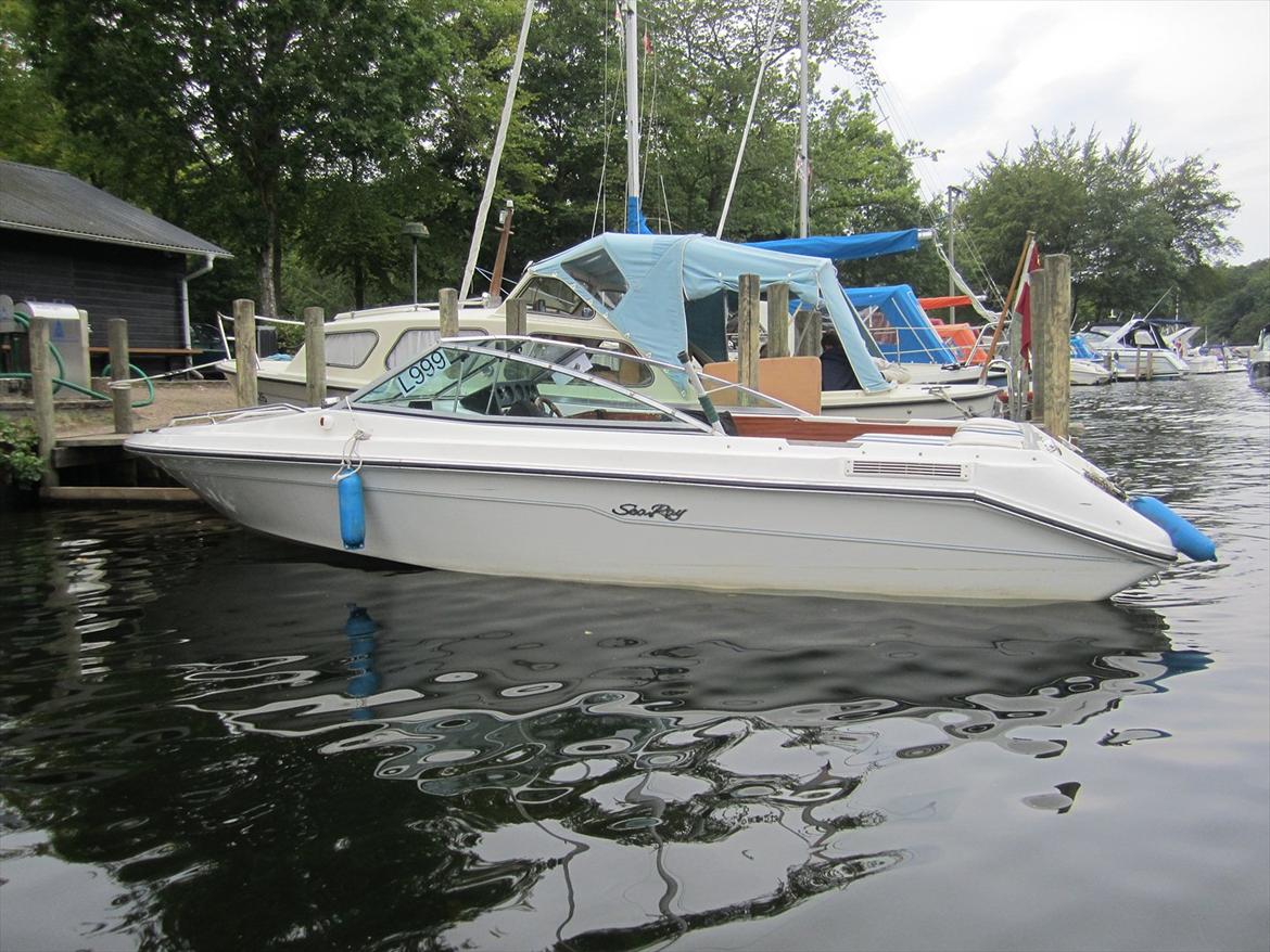 Sea Ray 185 billede 6