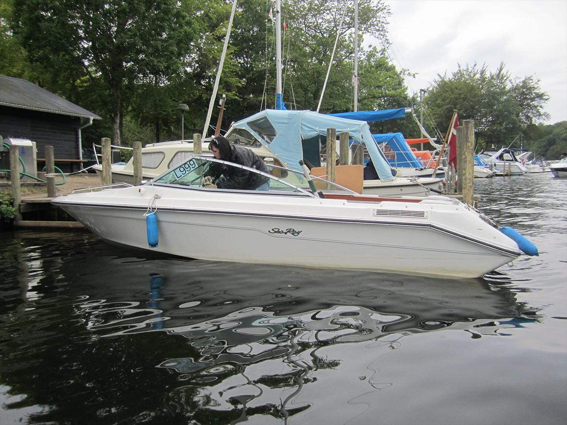 Sea Ray 185 billede 7