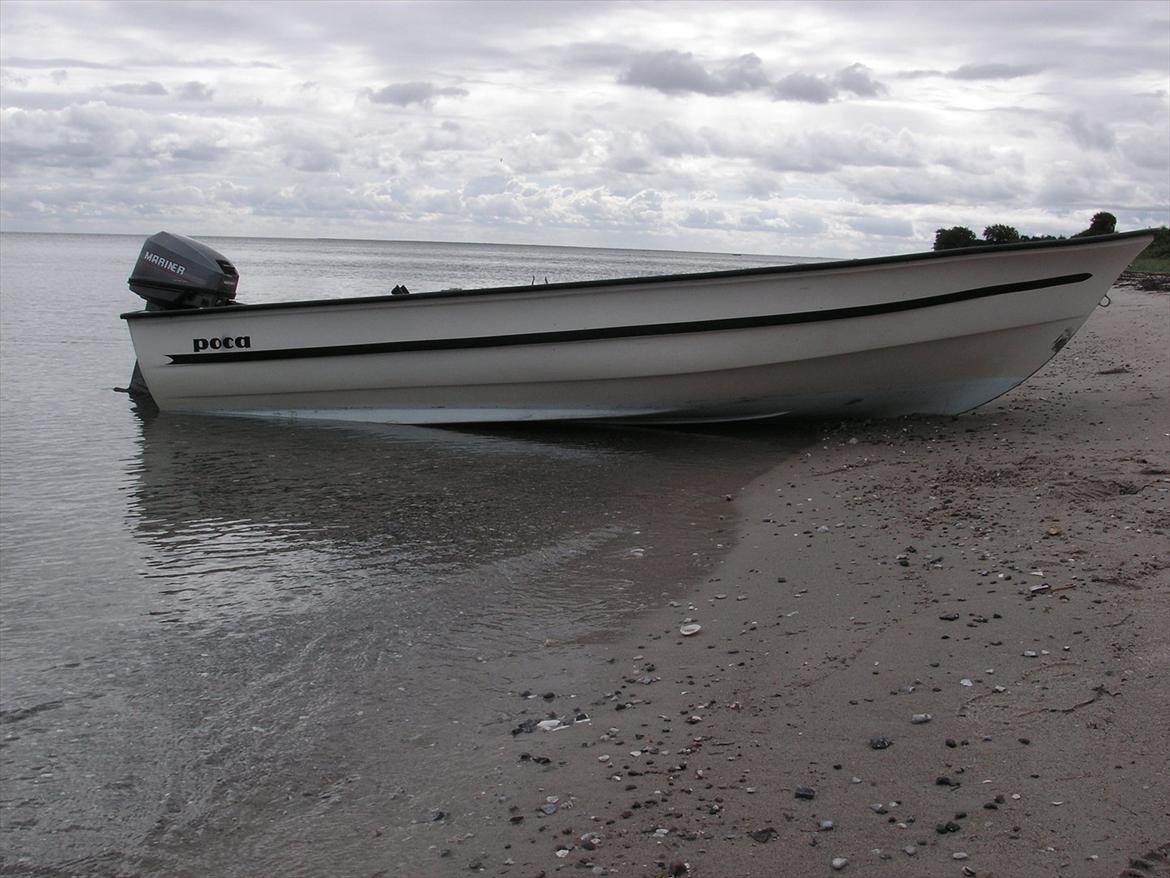 Poca 395 billede 6