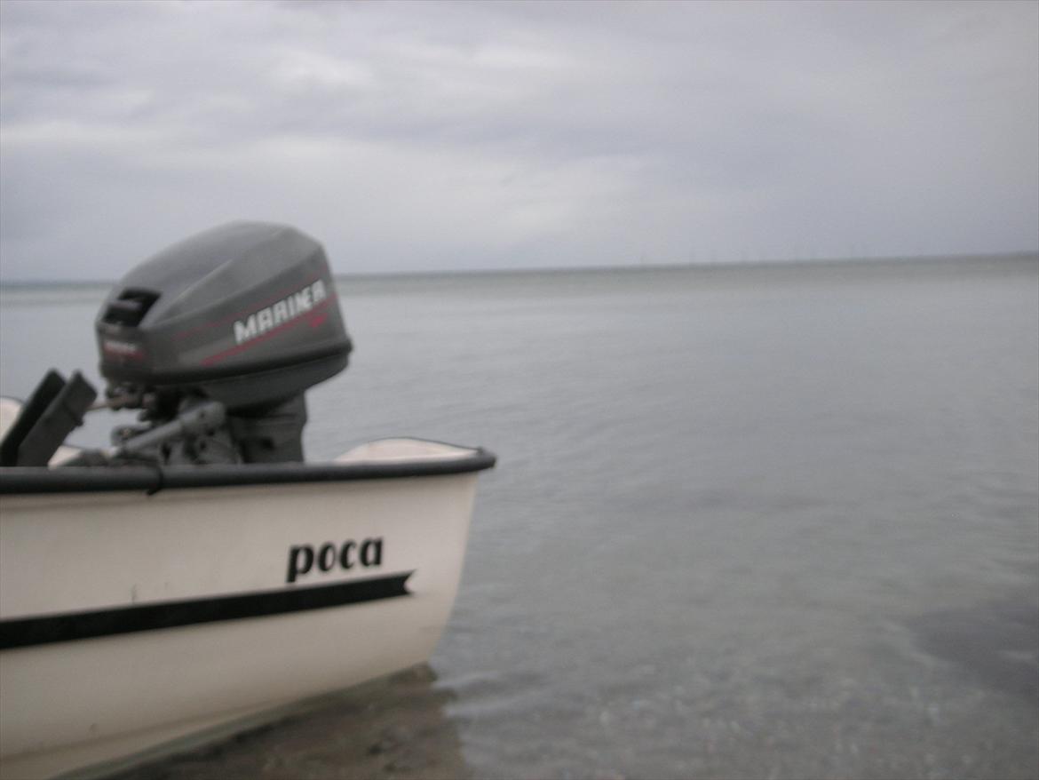 Poca 395 billede 7