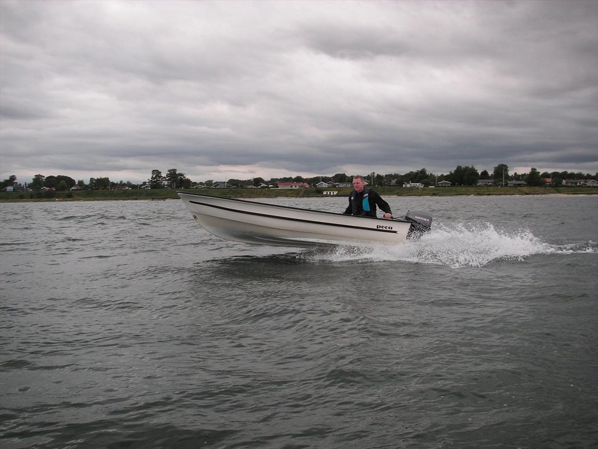 Poca 395 billede 9