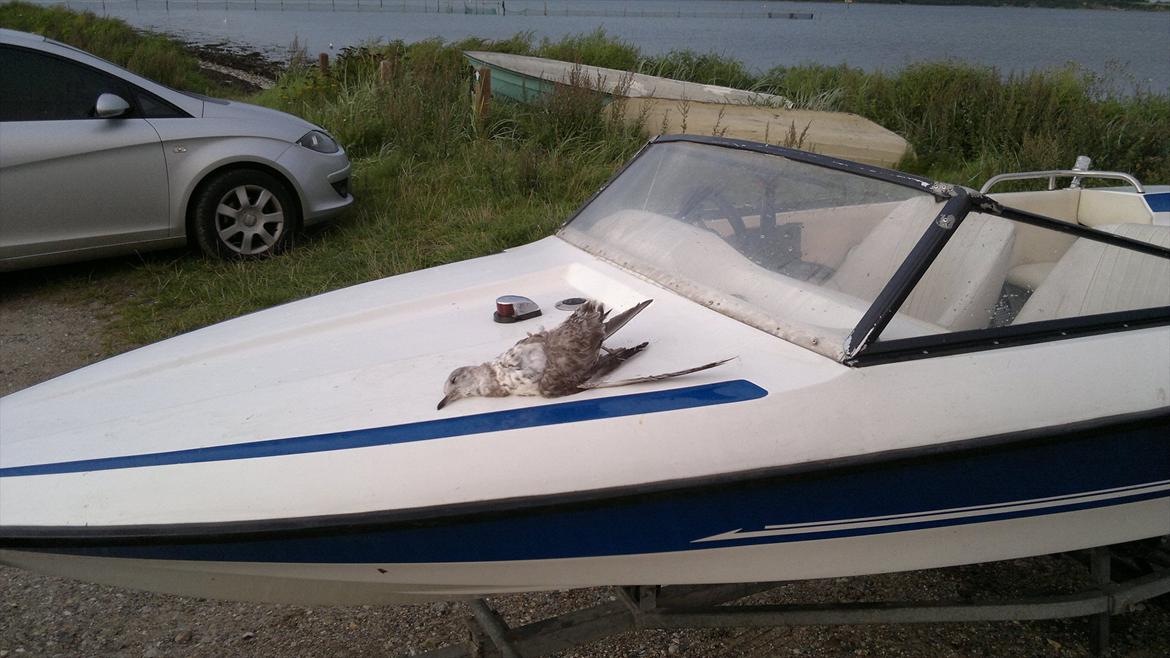 Fletcher SOLGT billede 2