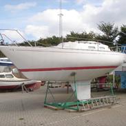 Albin Accent 26