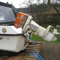 Trifoil 100 [SOLGT]