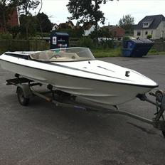 Labrador 143