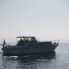 Princess 32