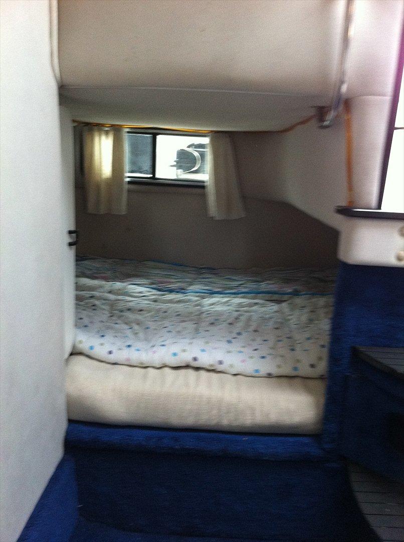 Century Antigua 240 billede 6