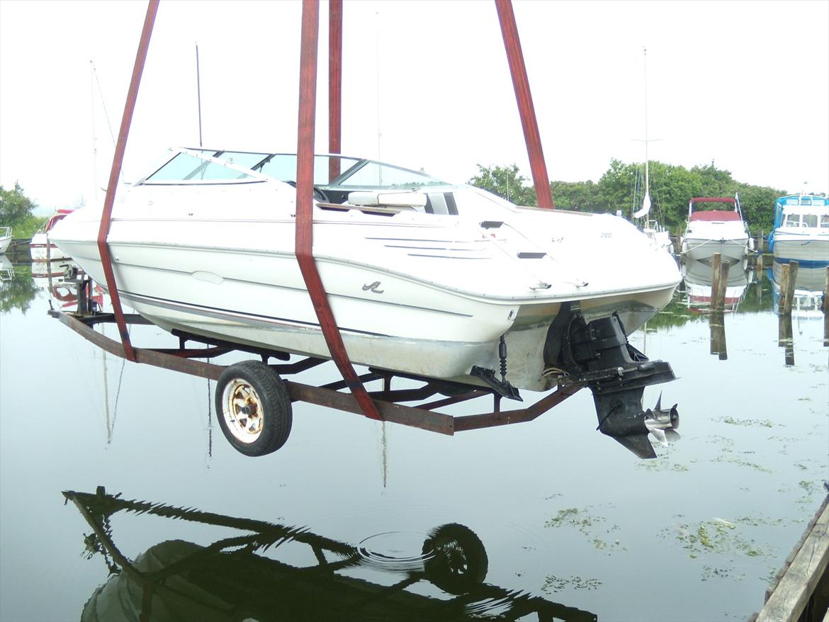 Sea Ray 200 OV LTD - Lige inden den rammer vandet billede 19