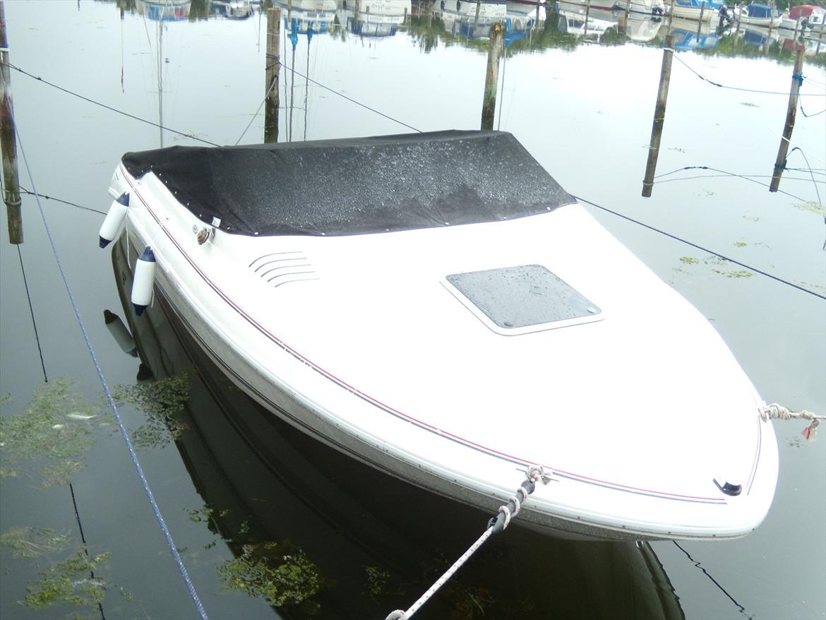 Sea Ray 200 OV LTD - Min havne plads billede 20