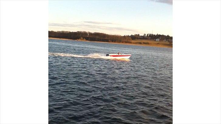 Selco Selspeed 15 fod billede 3