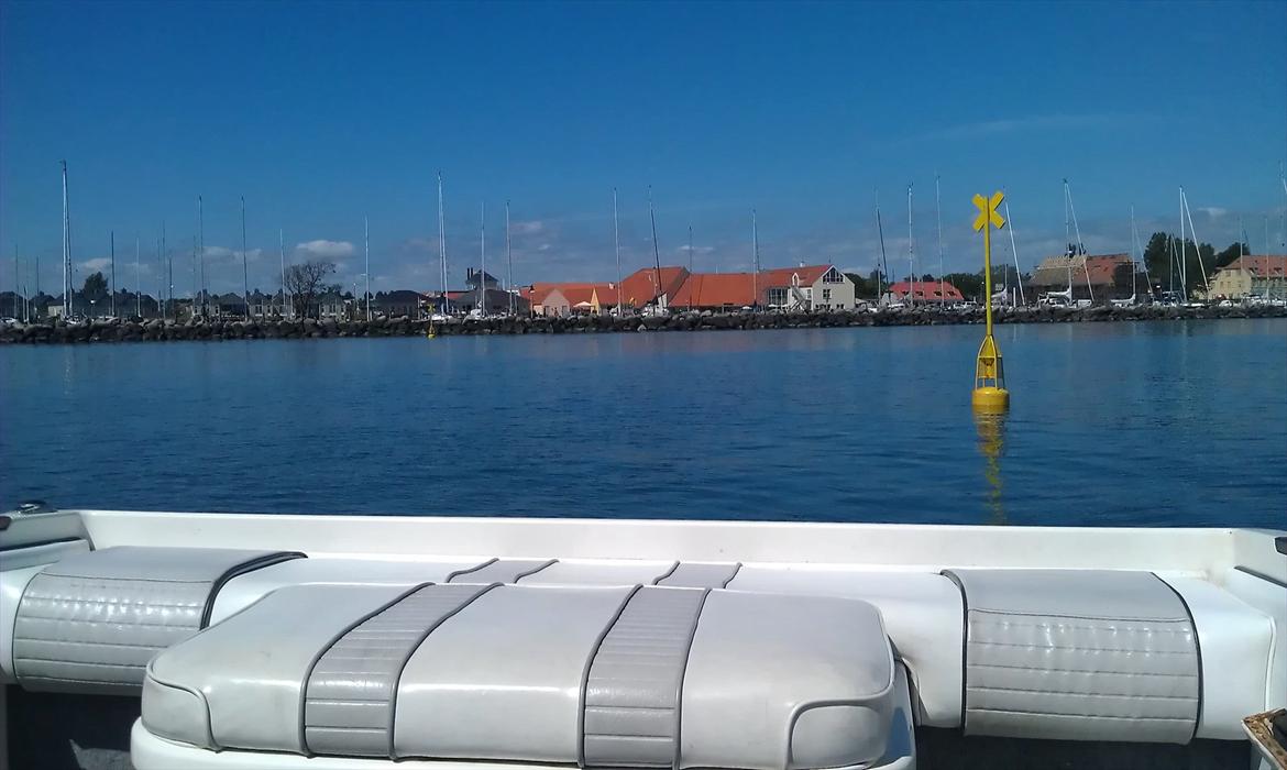 Sea Ray 200 OV LTD billede 8