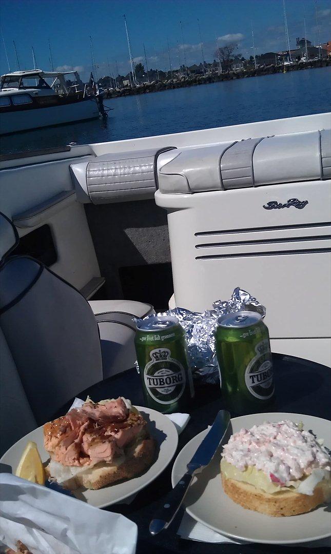 Sea Ray 200 OV LTD billede 10