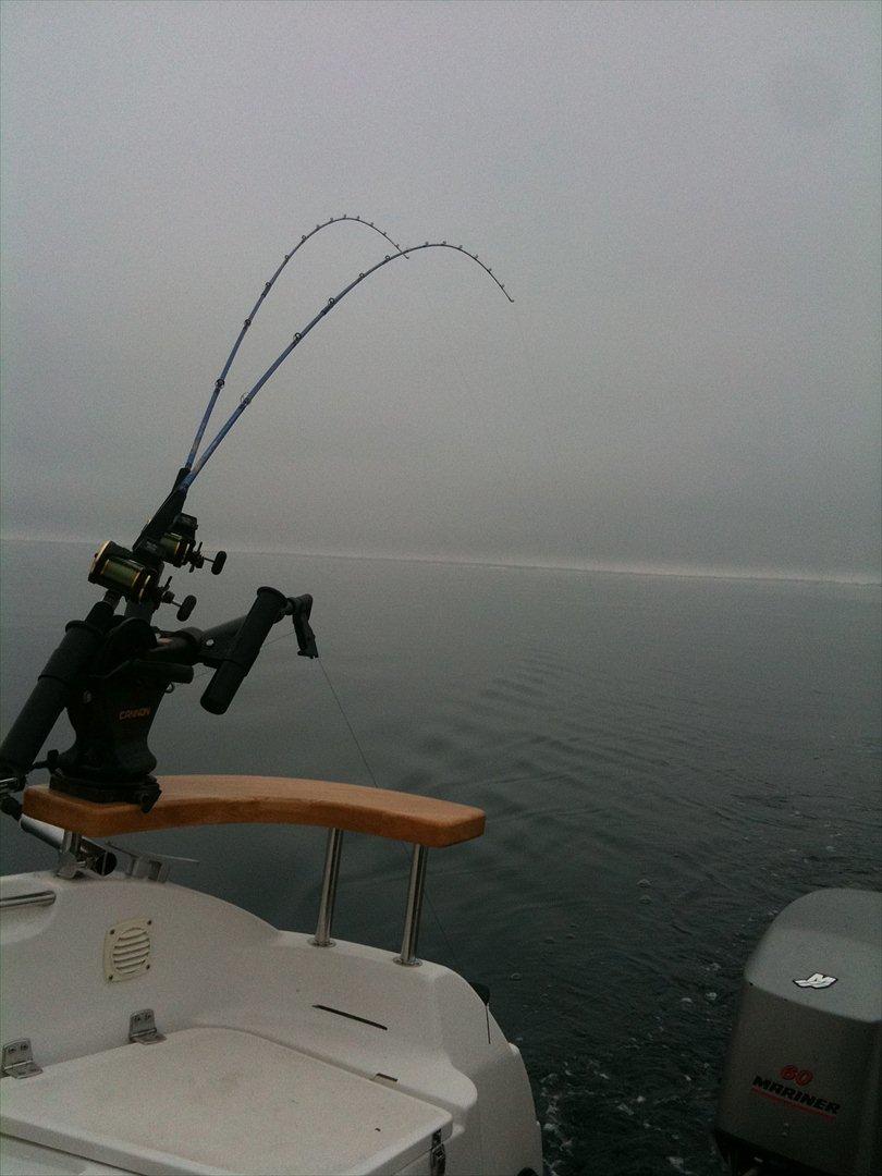 Quicksilver 500 cabin - Øresund en kold dag i 2011 billede 6