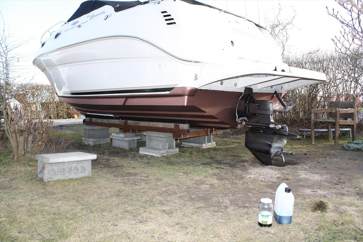 Sea Ray 240 Sundancer *Solgt* billede 18